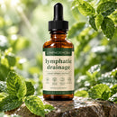 Lymphatic Support Drops – Herbal Liquid Wellness Supplement