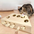 Interactive Cat Scratch Toy