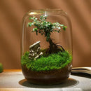 Eco Bottle Planter