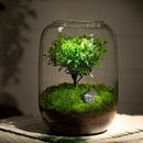 Eco Bottle Planter