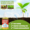Plant Growth Nutrient