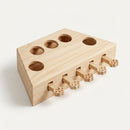 Interactive Cat Scratch Toy