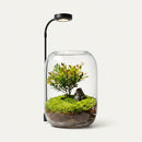 Eco Bottle Planter