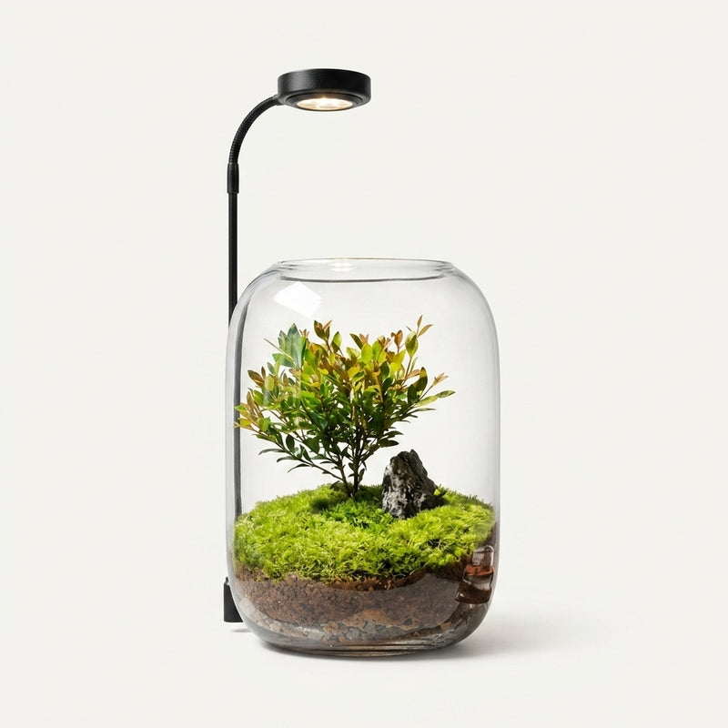 Eco Bottle Planter